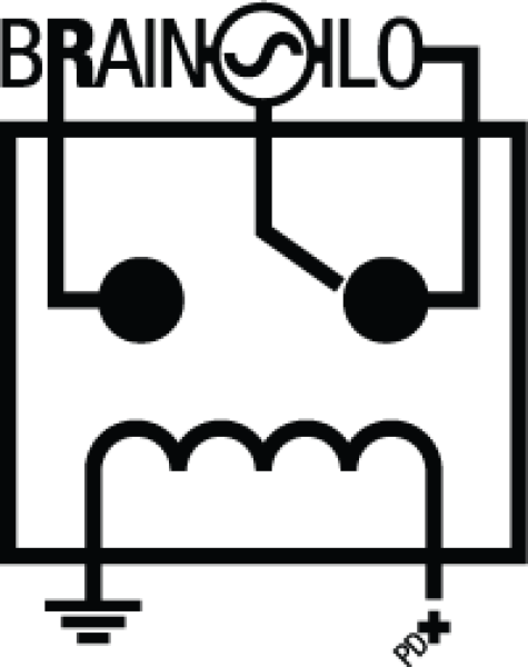 BrainSilo General Fund BrainSilo General Fund