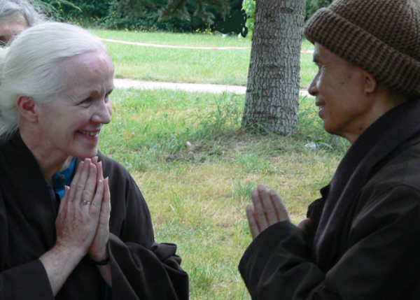 Dana for Dharma Teacher Joanne Friday Dana for Dharma Teacher Joanne Friday