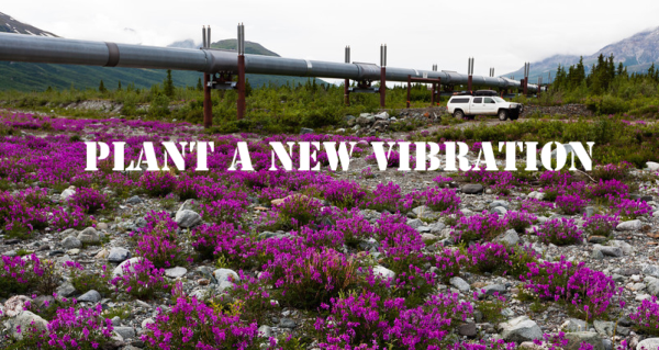 Plant a New Vibration on Keystone XL Pipeline Plant a New Vibration on Keystone XL Pipeline
