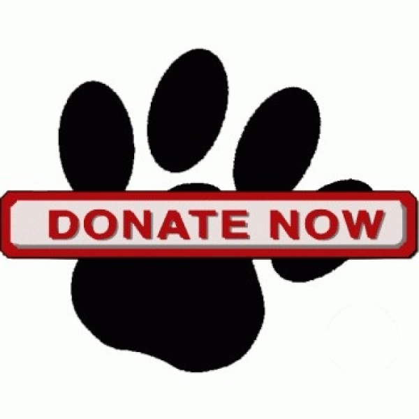 Donations for helping my mom with bills, the animal rescue, and groceries Donations for helping my mom with bills, the animal rescue, and groceries