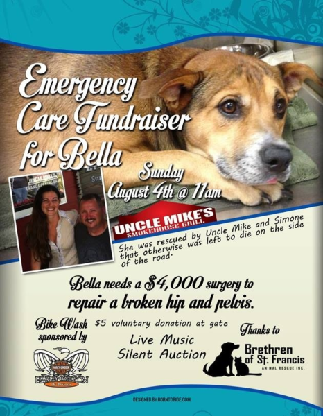 Bella - The Brethren of Saint Francis Animal Rescue Bella - The Brethren of Saint Francis Animal Rescue