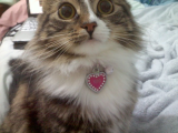 AngelKitty's House of Handmade Jewelry AngelKitty's House of Handmade Jewelry